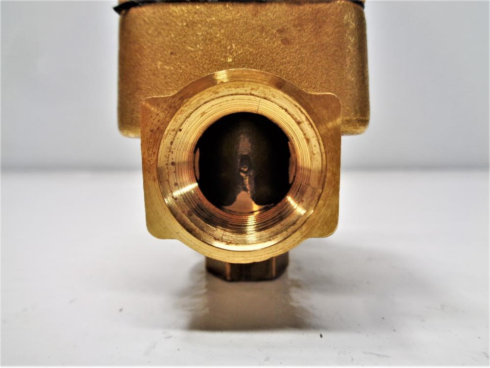 Dayton 2 Way 1/2" Hi Temp Steam Brass Solenoid Valve, 2A198 